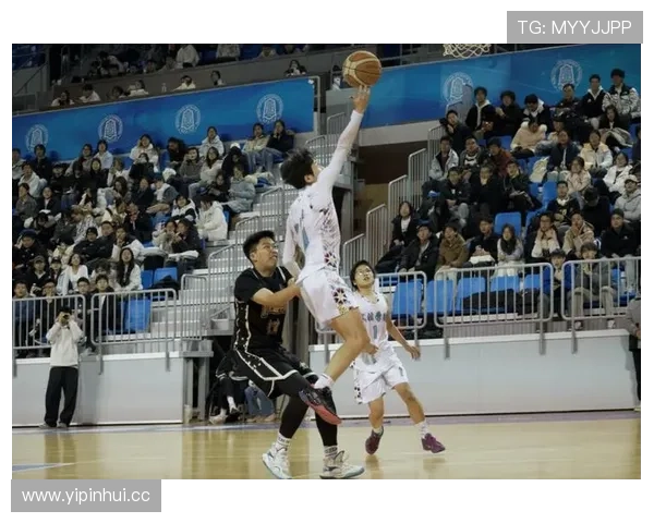 体育联赛篮球（体育篮球赛最新报道）sports